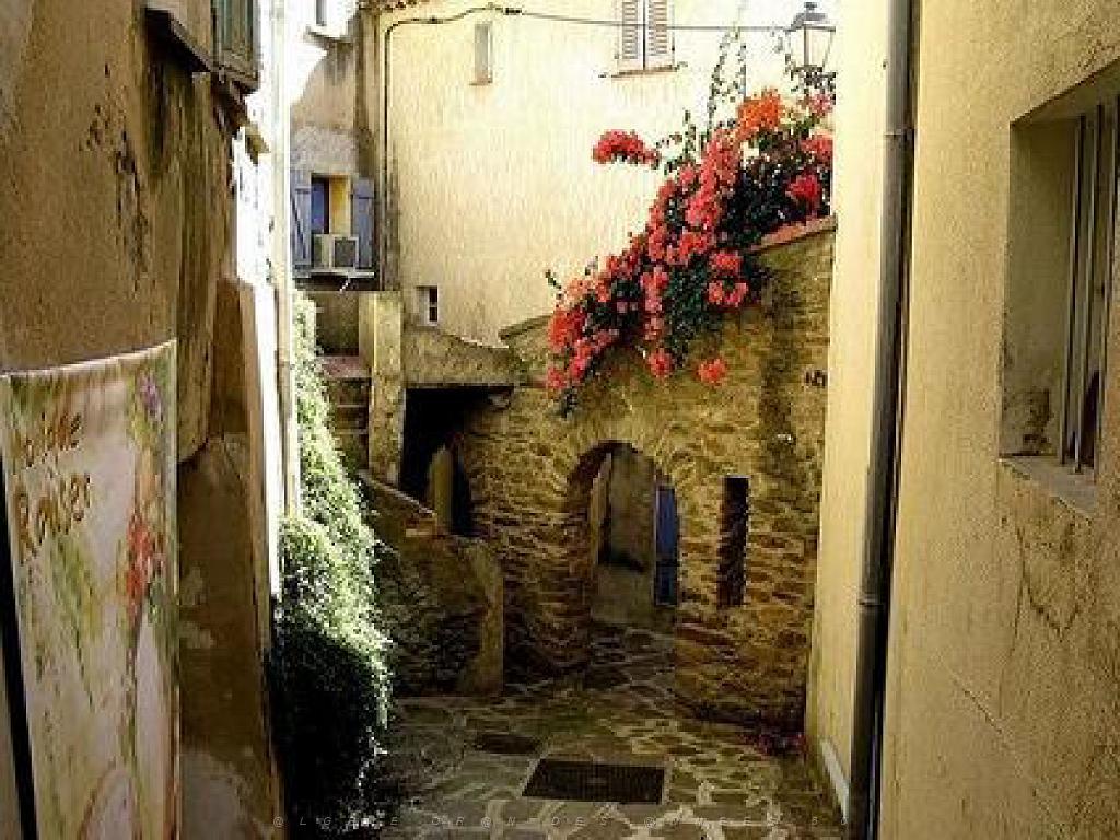 183 D25 BORMES LES MIMOSAS 3_000003.jpg